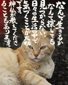 専念寺(大阪府)(2023年05月11日(木) 20時13分17秒投稿)