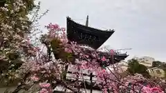 本法寺(京都府)