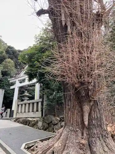 日枝神社のその他建物
