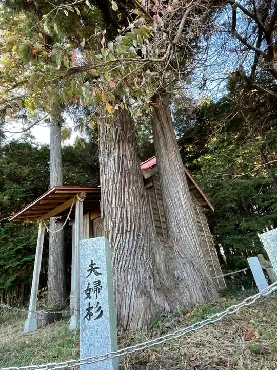 長久保温泉神社の自然