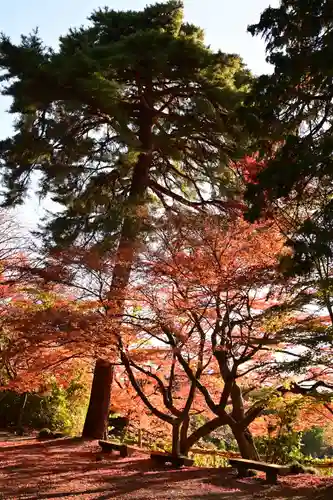 胡宮神社（敏満寺史跡）(滋賀県)