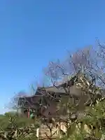 くろ谷 金戒光明寺のその他建物