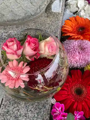 新川皇大神社の手水舎