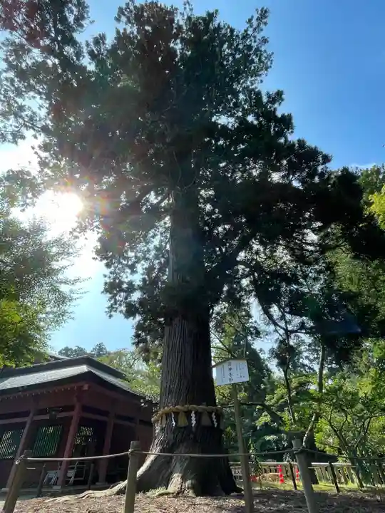 志波彦神社・鹽竈神社(宮城県)