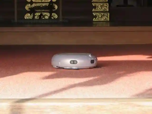 毛谷黒龍神社(福井県)