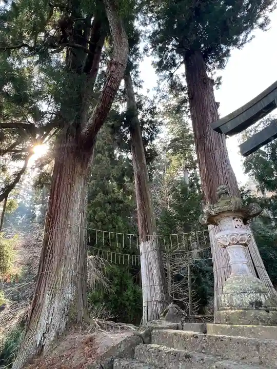 妙義神社(群馬県)