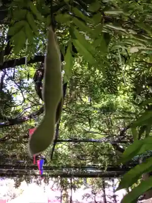 國領神社(東京都)