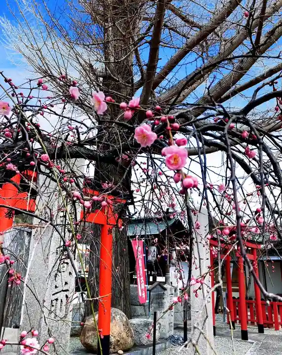 瀧宮神社(広島県)