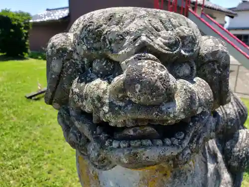 今市神社の狛犬