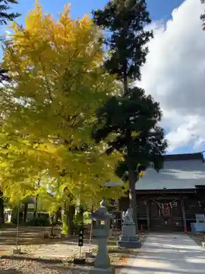 大宮神社の本殿・本堂