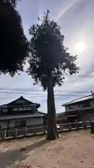 朝吉神社(岡山県)