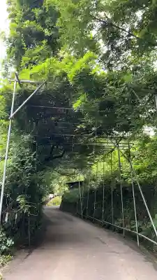 八大龍王水神(宮崎県)