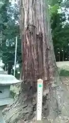 石神社(茨城県)