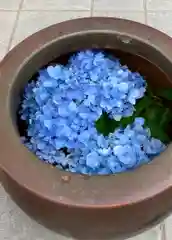 赤城神社の建物その他