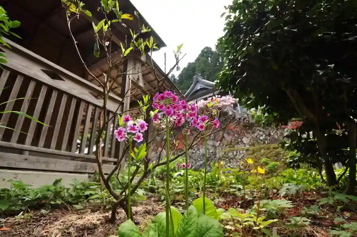 横峰寺(愛媛県)