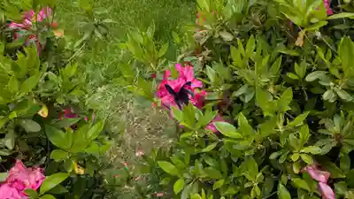 鉾立神社の動物