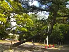 石清水八幡宮(京都府)