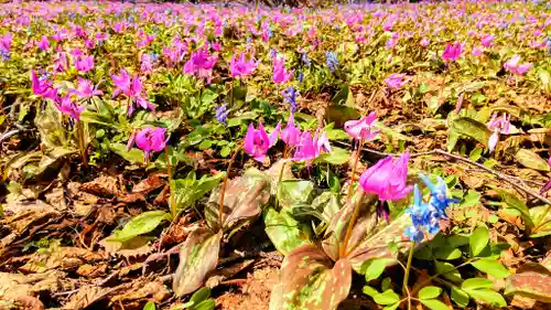 浦臼神社(北海道)