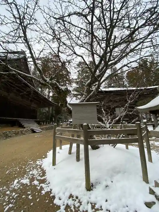 壇上伽藍(和歌山県)