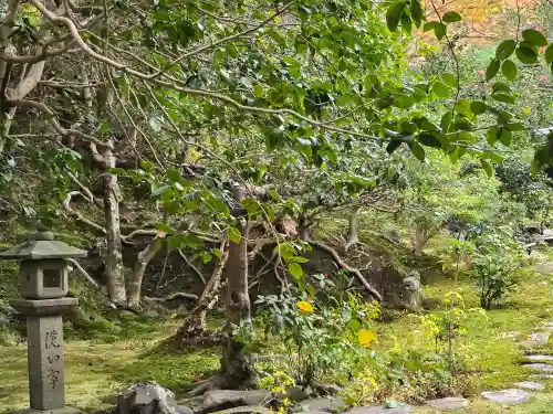 霊鑑寺門跡(京都府)