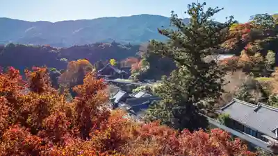 長谷寺(奈良県)