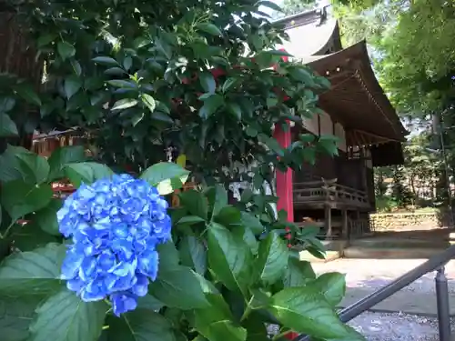 春日神社の自然