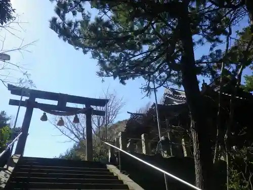 小動神社の鳥居