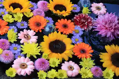 大鏑神社の手水舎