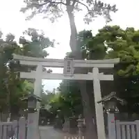 菊田神社の鳥居