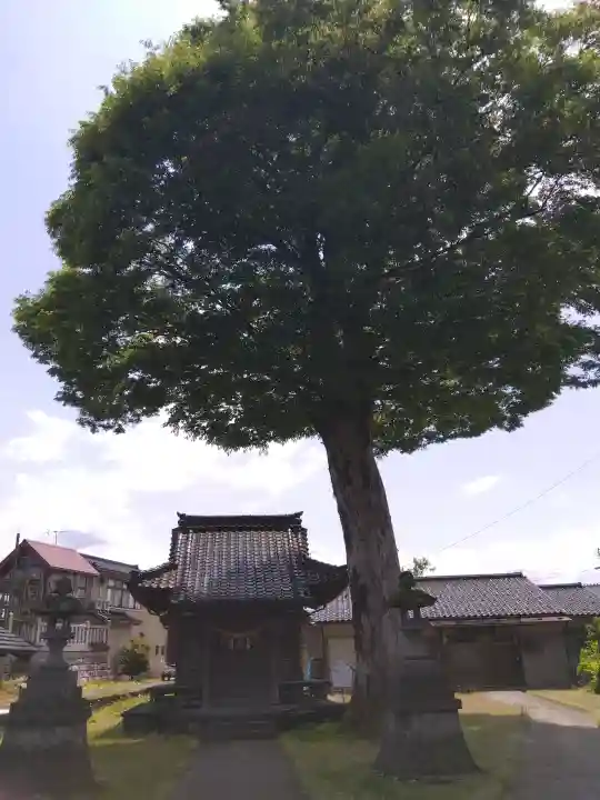 八幡社の{uncategorized: "未分類", other: "その他", undefined: "問題あり", building: "その他建物", grave: "お墓", sacred_gate: "鳥居", guardian: "狛犬", statue: "像", buddha: "仏像", history: "歴史", nature: "自然", garden: "庭園", animal: "動物", pagoda: "塔", temizu: "手水舎", mountain_gate: "山門・神門", sanctuary: "本殿・本堂", subordinate: "末社・摂社", art: "芸術", scenery: "景色", jizo: "地蔵", ema: "絵馬", goshuin: "御朱印", omikuji: "おみくじ", items: "授与品その他", amulet: "お守り", goshuincho: "御朱印帳", eats: "食事", festival: "お祭り", votive_dance: "神楽", shichigosan: "七五三参", wedding: "結婚式", experience: "体験その他", initially: "初詣", around: "周辺", anti_infection: "感染症対策"}