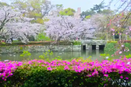 三嶋大社(静岡県)
