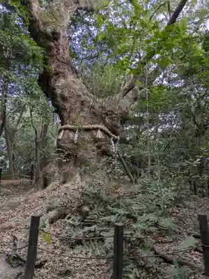 熱田神宮(愛知県)