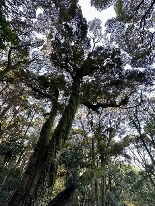 豊国廟(豊国神社飛地境内)の自然