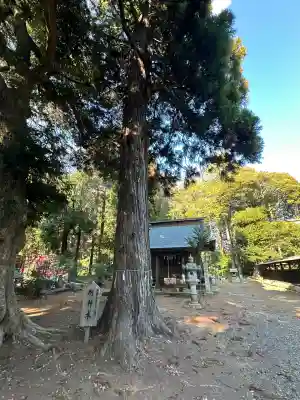 瀧神社(茨城県)
