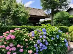 極楽寺（霊鷲山感應院極楽律寺）の山門