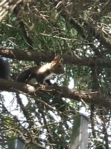 相馬神社(北海道)