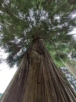 西宮神社(兵庫県)
