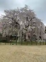 足羽神社の自然