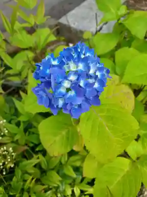 光林寺(岩手県)