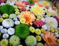 高円寺氷川神社の手水舎