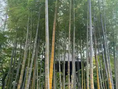 修禅寺(静岡県)