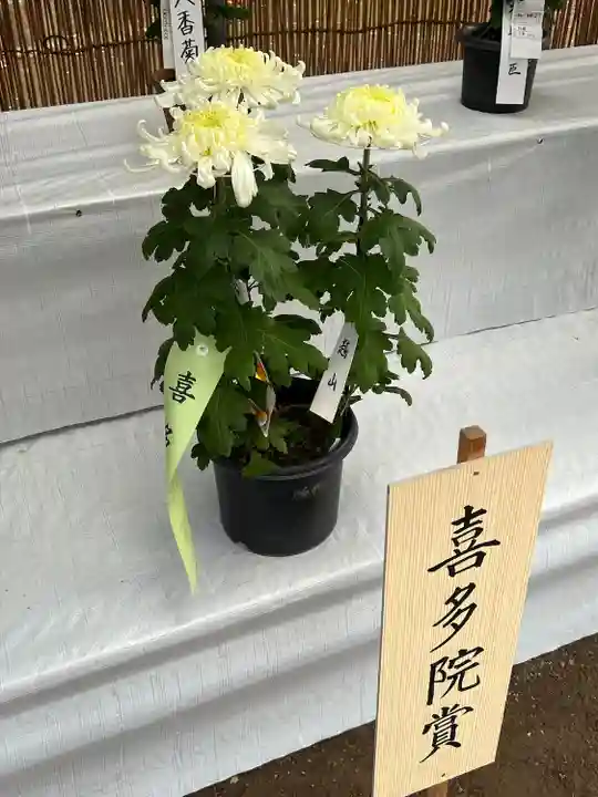 喜多院(埼玉県)