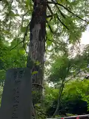 七社神社(東京都)