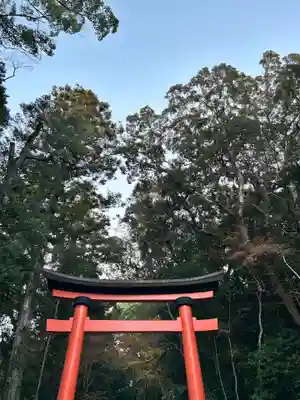 宇佐神宮の鳥居