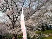 川越氷川神社の{uncategorized: "未分類", other: "その他", undefined: "問題あり", building: "その他建物", grave: "お墓", sacred_gate: "鳥居", guardian: "狛犬", statue: "像", buddha: "仏像", history: "歴史", nature: "自然", garden: "庭園", animal: "動物", pagoda: "塔", temizu: "手水舎", mountain_gate: "山門・神門", sanctuary: "本殿・本堂", subordinate: "末社・摂社", art: "芸術", scenery: "景色", jizo: "地蔵", ema: "絵馬", goshuin: "御朱印", omikuji: "おみくじ", items: "授与品その他", amulet: "お守り", goshuincho: "御朱印帳", eats: "食事", festival: "お祭り", votive_dance: "神楽", shichigosan: "七五三参", wedding: "結婚式", experience: "体験その他", initially: "初詣", around: "周辺", anti_infection: "感染症対策"}