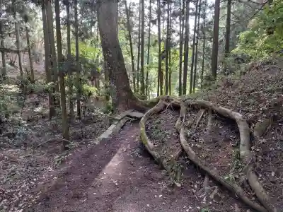 首塚大明神の{uncategorized: "未分類", other: "その他", undefined: "問題あり", building: "その他建物", grave: "お墓", sacred_gate: "鳥居", guardian: "狛犬", statue: "像", buddha: "仏像", history: "歴史", nature: "自然", garden: "庭園", animal: "動物", pagoda: "塔", temizu: "手水舎", mountain_gate: "山門・神門", sanctuary: "本殿・本堂", subordinate: "末社・摂社", art: "芸術", scenery: "景色", jizo: "地蔵", ema: "絵馬", goshuin: "御朱印", omikuji: "おみくじ", items: "授与品その他", amulet: "お守り", goshuincho: "御朱印帳", eats: "食事", festival: "お祭り", votive_dance: "神楽", shichigosan: "七五三参", wedding: "結婚式", experience: "体験その他", initially: "初詣", around: "周辺", anti_infection: "感染症対策"}