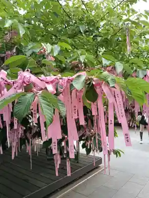桜神宮(東京都)