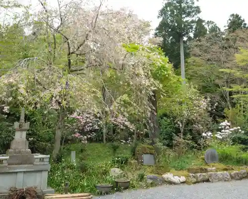 三千院門跡(京都府)