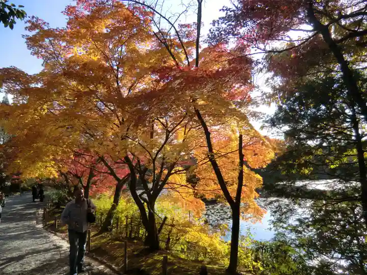 龍安寺(京都府)
