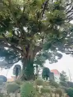 杉山神社(神奈川県)